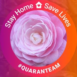 Meet your Posher, Myra